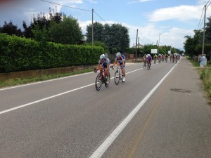 foto_gio