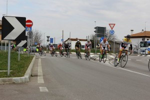 IMG_2719 