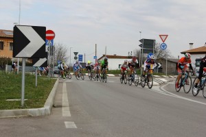 IMG_2720 
