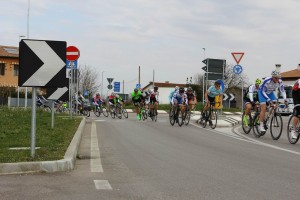 IMG_2721 