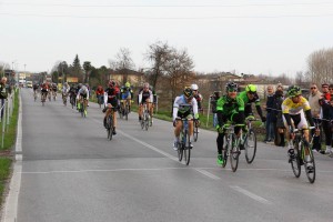 IMG_2914