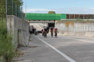 IMG_4824