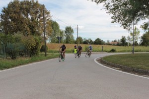 IMG_4856
