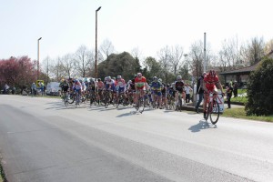 IMG_6518