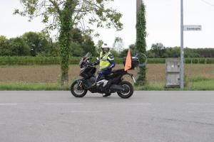 IMG 6023