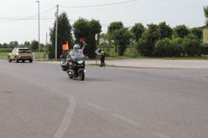 IMG 8877