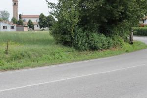 IMG 8975