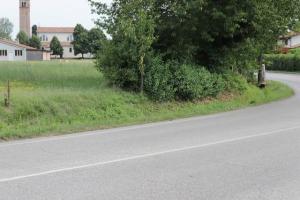 IMG 8976