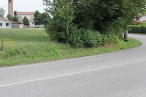 IMG 8977
