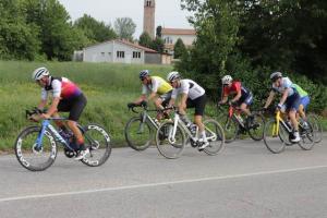 IMG 8988