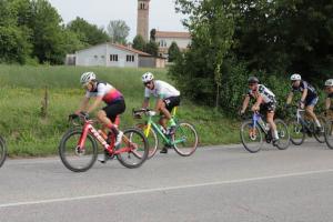 IMG 8990