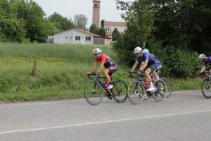 IMG 8994