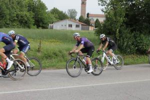 IMG 8995