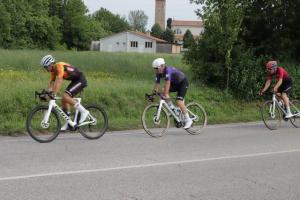 IMG 8997