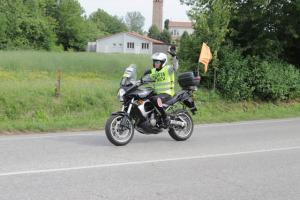 IMG 9003