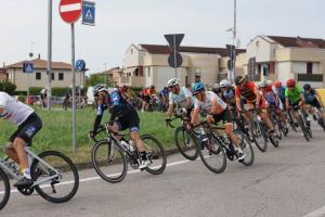 IMG 9081