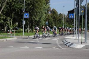 IMG 9871