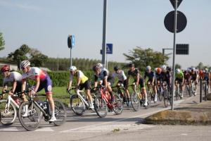 IMG 9939
