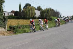 IMG 9587