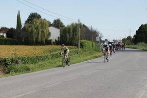IMG 9591