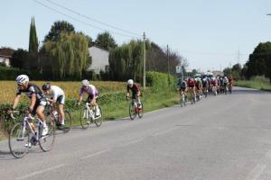IMG 9592