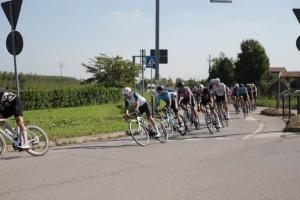 IMG 9746