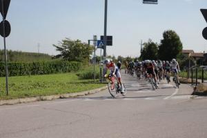 IMG 9772