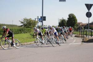 IMG 9774